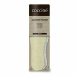 Coccine Pisana