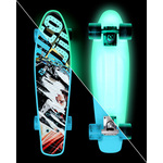 Skateboard Street Surfing BEACH BOARD Glow Rough Poster