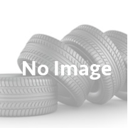 Dunlop celoletna pnevmatika Sport AllSeason