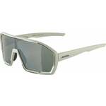 Alpina Bonfire Q-Lite Cool/Grey Matt/Silver Kolesarska očala