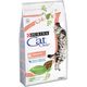 shumee Purina Cat Chow Sensitive Ricco v salmoni 15 kg - suha hrana za mačke z občutljivim prebavnim traktom 15 kg