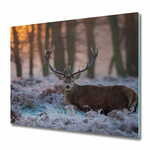 tulup.si Steklena podloga za rezanje Deer sunrise 60x52 cm