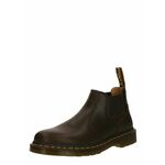 Dr. Martens Chelsea škornji rjava 24552205