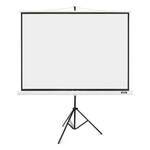 Acer MC.JBG11.00F, 180x146cm