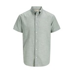 Jack & Jones Plus Srajca 'JPRBLUSUMMER' večbarvno zelena 26049631