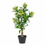Umetna rastlina Skimmia – House Nordic