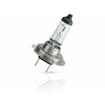 PHILIPS žarnica H7 MasterDuty 13972MDC1