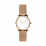 Ročna ura Skagen Kuppel Lille SKW3099 Zlata
