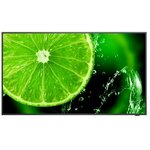 NEC signage televizor MultiSync E498 49" (125 cm)