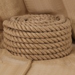 vidaXL Vrv iz jute 10 m dolžina 50 mm debelina