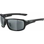 Alpina Sports Lyron sončna očala, črno-siva