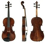 Viola (koncertna) Georg Walther Gewa – različne velikosti - Viola 42 cm