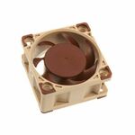 Noctua Noctua NF-A4x20 PWM Računalniški ventilator 4 cm v bež in rjavi barvi, tiho delovanje, 5000 RPM