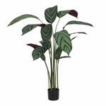 Umetna rastlina (višina 150 cm) Calathea – Ixia