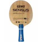 Leseni del GEWO Sensus Carbo Speed