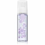 Natura Siberica Anti-Ox Wild Blueberry meglica za tonizacijo obraza 100 ml