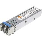 Intellinet 545013