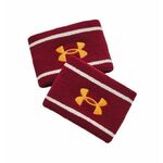 Under Armour Unisex trenirka Striped Performance Terry WB UNI