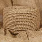 vidaXL Vrv iz jute 25 m dolžina 10 mm debelina