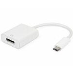 E-green pretvornik USB-C (M) - Display Port (F), bel