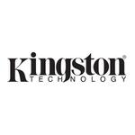 Kingston IronKey D500S IKD500S/8GB 8GB USB ključ