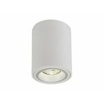 RABALUX stropno svetilo Kobald 71162, GU10