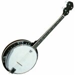 Pasadena 01BJ004 Natural Banjo