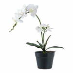Umetna rastlina (višina 47 cm) Orchid – House Nordic