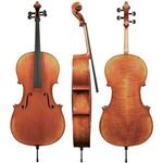 Violončelo (nemški) 4/4 Maestro 45 Gewa - različni modeli - Violončelo (nemški) 4/4 Maestro 45 Gewa - postavljen