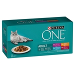 Purina ONE ONE mačja hrana, 40x85 g