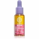 Natura Siberica Anti-Ox Wild Blueberry obnovitveni serum za obraz 30 ml
