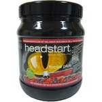 Focus Plus Pulver - gozdne jagode - 500 g