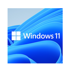 Microsoft Windows 11 Pro