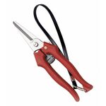 AUSONIA škarje za obiranje COGLIUVA 19cm 31325
