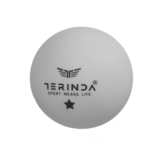 TERINDA Žogice za namizni tenis - One star