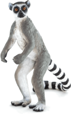 Mojo Lemur kata
