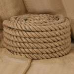 vidaXL Vrv iz jute 10 m dolžina 30 mm debelina