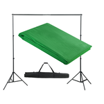 vidaXL Zeleno Platno / Ozadje za Fotografiranje z Ogrodjem 300 x cm