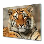 tulup.si Steklena podloga za rezanje Bengal tiger 2x30x52 cm