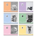 ELISA Zvezek sweet pets, a4, mali karo E-062730