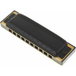 Orglice Pro Harp MS D-dur Hohner