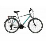 CAPRIOLO mestno kolo Roadster, siva