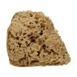 "Cose della Natura Honeycomb-naravna spužva - Majhen, 5-6 g"
