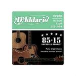 Set strun za akustično kitaro D'Addario EZ920 folk