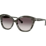 Ralph Lauren RL8225U 617511 ONE SIZE (57) Črna/Siva