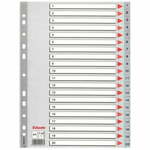 Esselte pregradni karton 1-20 A4 PP, siv