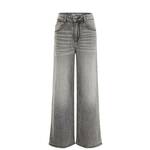 WE Fashion Kavbojke siva / zelena 18942262