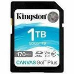 Kingston Spominska Kartica SDXC Kingston SDG3/1TB 1 TB
