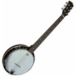 Pasadena 01BJ006 Natural Banjo