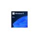 Microsoft Windows 11 Pro, FQC-10528, OEM